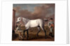 The Duke of Hamilton's Grey Racehorse, 'Victorious,' at Newmarket by John Wootton
