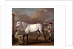 The Duke of Hamilton's Grey Racehorse, 'Victorious,' at Newmarket by John Wootton