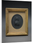 Sir Charles Linnaeus by Josiah Wedgwood