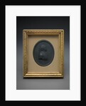 Sir Charles Linnaeus by Josiah Wedgwood