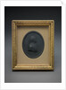 Sir Charles Linnaeus by Josiah Wedgwood