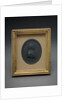 Sir Charles Linnaeus by Josiah Wedgwood