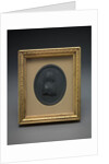 Sir Charles Linnaeus by Josiah Wedgwood