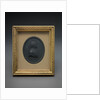 Sir Charles Linnaeus by Josiah Wedgwood