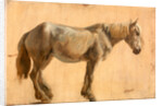 Study of a Grey Horse by Jacques-Laurent Agasse