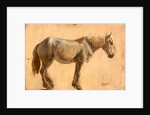 Study of a Grey Horse by Jacques-Laurent Agasse