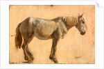 Study of a Grey Horse by Jacques-Laurent Agasse