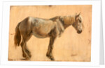 Study of a Grey Horse by Jacques-Laurent Agasse