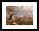 Duck Shooting by Henry Thomas Alken