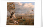 Duck Shooting by Henry Thomas Alken