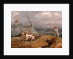 Grouse Shooting by Henry Thomas Alken