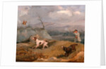 Grouse Shooting by Henry Thomas Alken