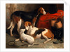 A Couple of Foxhounds with a Terrier by William Barraud