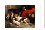 A Couple of Foxhounds with a Terrier by William Barraud
