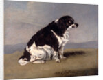 The Duchess of York's Spaniel by Henry Bernard Chalon