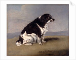 The Duchess of York's Spaniel by Henry Bernard Chalon