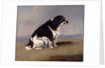 The Duchess of York's Spaniel by Henry Bernard Chalon