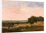 Partridge Shooting by Edward Duncan