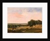Partridge Shooting by Edward Duncan