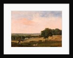 Partridge Shooting by Edward Duncan