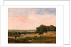 Partridge Shooting by Edward Duncan