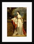 Elizabeth Gunning, Duchess of Hamilton and Argyll by Sir Joshua Reynolds
