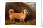 A Dandie Dinmont Terrier by John E. Ferneley Jr.
