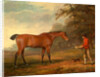 A Bay Horse Approached by a Stable-Lad with Food and a Halter by George Garrard