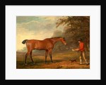 A Bay Horse Approached by a Stable-Lad with Food and a Halter by George Garrard