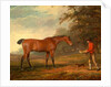 A Bay Horse Approached by a Stable-Lad with Food and a Halter by George Garrard