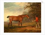 A Bay Horse Approached by a Stable-Lad with Food and a Halter by George Garrard