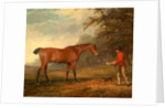 A Bay Horse Approached by a Stable-Lad with Food and a Halter by George Garrard