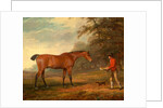 A Bay Horse Approached by a Stable-Lad with Food and a Halter by George Garrard