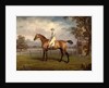Portrait of a Racehorse, Possibly Disguise by George Garrard