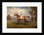 Portrait of a Racehorse, Possibly Disguise by George Garrard