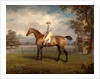 Portrait of a Racehorse, Possibly Disguise by George Garrard