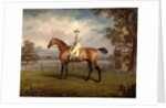 Portrait of a Racehorse, Possibly Disguise by George Garrard