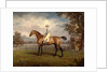 Portrait of a Racehorse, Possibly Disguise by George Garrard