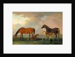 Mares and Foals, facing left by Sawrey Gilpin