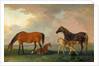 Mares and Foals, facing left by Sawrey Gilpin