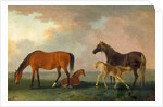 Mares and Foals, facing left by Sawrey Gilpin
