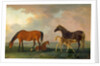 Mares and Foals, facing left by Sawrey Gilpin