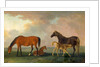 Mares and Foals, facing left by Sawrey Gilpin