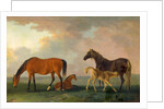 Mares and Foals, facing left by Sawrey Gilpin