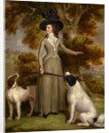 The Countess of Effingham with Gun and Shooting Dogs by George Haugh