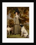 The Countess of Effingham with Gun and Shooting Dogs by George Haugh