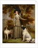 The Countess of Effingham with Gun and Shooting Dogs by George Haugh