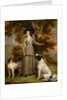 The Countess of Effingham with Gun and Shooting Dogs by George Haugh