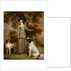 The Countess of Effingham with Gun and Shooting Dogs by George Haugh