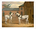 Grey carriage horses in the coachyard at Putteridge Bury by John Frederick Herring